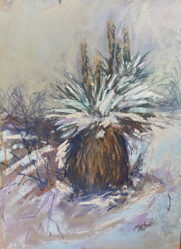 It Snowed in Big Bend by artist Julia Fletcher